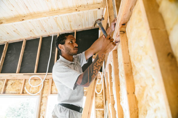 Best Attic Insulation Installation  in Mayer, MN